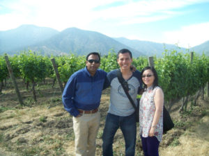 Best Vineyards In Chile