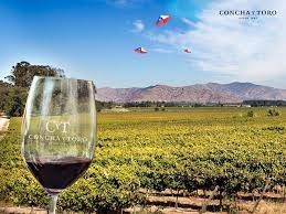 Half Day Concha y Toro Wine Tour in Chile