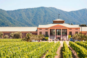 Wine tours in Chile 