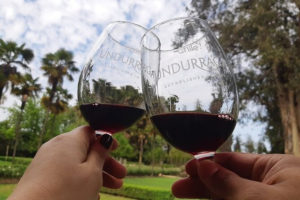 Undurraga Winery Tour