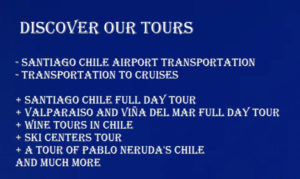 RE Winery Tour from Santiago de Chile